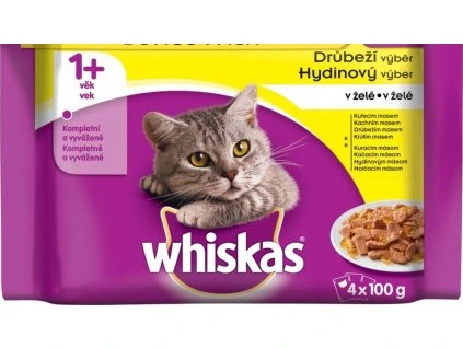 214693 wh kaps 4pack drubezi v zele