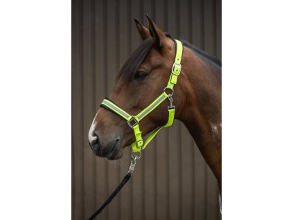 Ohlávka Reflective HKM, neon yellow