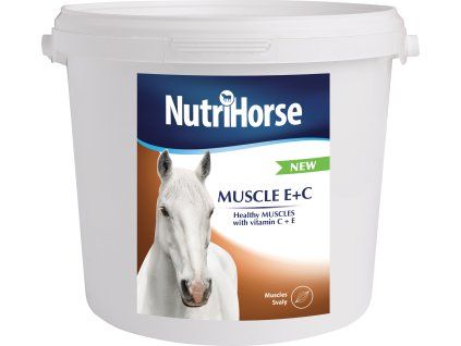 343a06bc10711c8ba1b254828cb83901