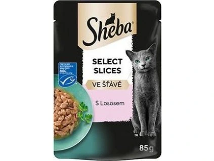 425b1679d844edeb11cdaa781220a356