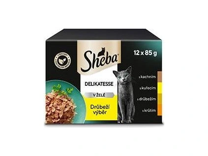 e007e2c6ec9a5ee72f42263c91936388