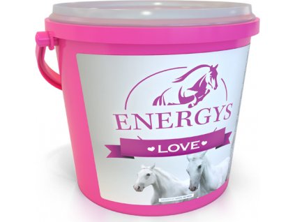 Pamlsky pro koně Energys Love, 2 kg, jablečné