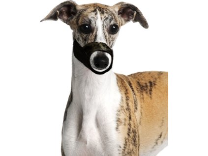 Náhubek pro psy Karlie, nylonový, XS, černý