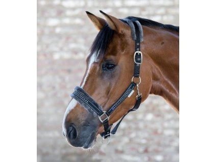 Ohlávka s beránkem Elegant Waldhausen, černá (Velikost PONY)