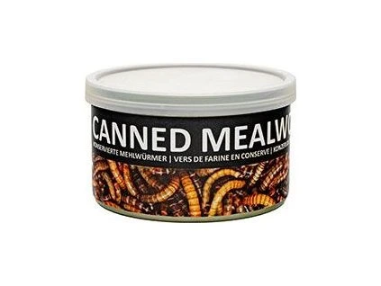 2a20560a4f16d2972a50bfd665b977cb