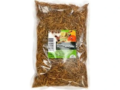 55767b82bdd9867c62be9abbc83f3d5a