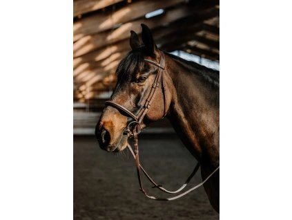 Uzdečka Hunter Norton, havana (Velikost COB)