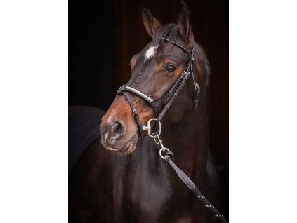 Uzdečka Symphonie SR Penelope, černá