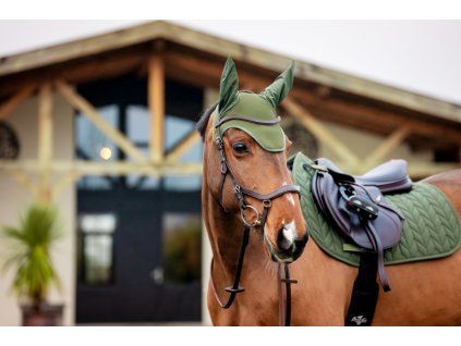 VÝPRODEJ: Čabraka Amigo, FULL, bramble