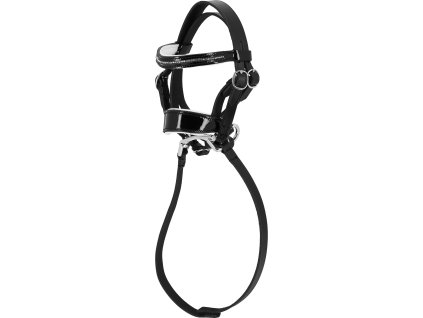 Uzdečka Rhinestones Pony Academy Equithème, mini, černá