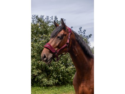 Ohlávka nylonová 3D Mesh Equithème, burgundy