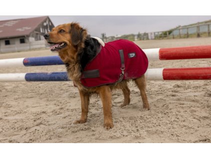 Deka pro psy Teddy Diego & Louna, fleecová, burgundy