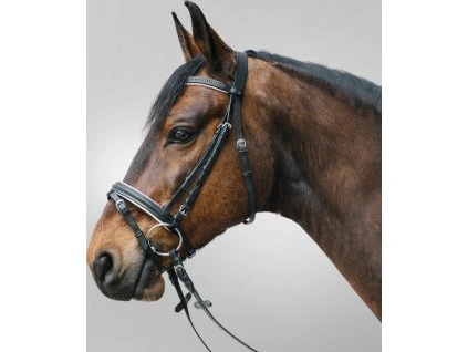 Uzdečka Diamond STAR, bílá (Velikost MINI SHETTY)