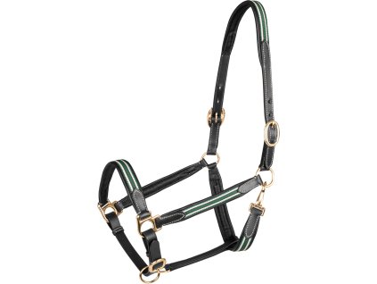 Ohlávka kožená Oxford X-Line Waldhausen, black/green