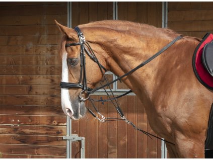 Gogue kožený Pro Norton, černý