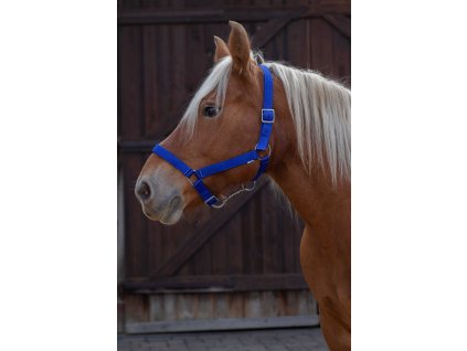 Ohlávka pro tažné koně Norton Pro, royal blue