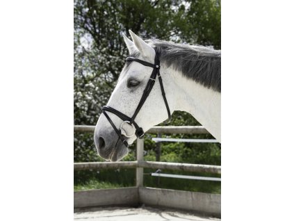 Uzdečka Combinée Norton, černá