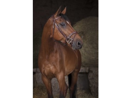 Uzdečka Combinée Norton, havana