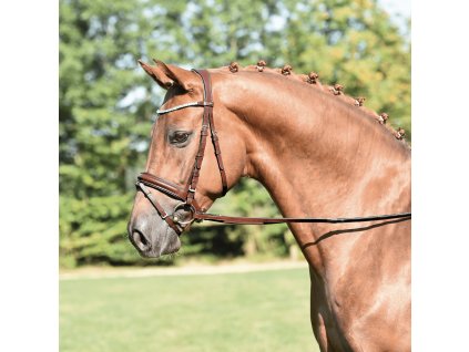 VÝPRODEJ: Uzdečka Matera BUSSE, COB, hazel/crystal