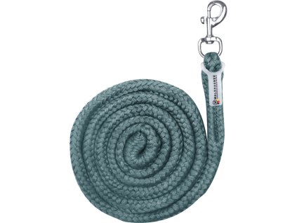 Vodítko Economic Waldhausen, 2 m, pine green