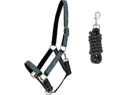 Set ohlávky s vodítkem QHP, palm green