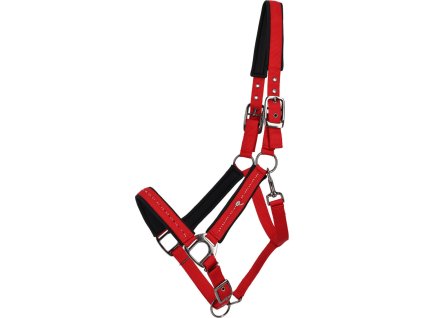 Ohlávka Oakleigh QHP, sunset red