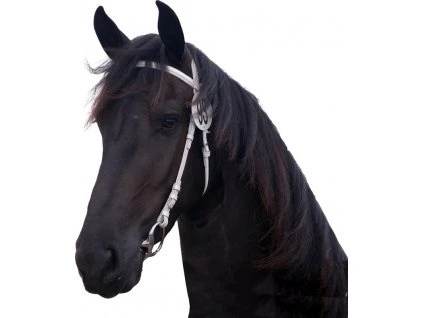 Uzdečka Show QHP, bílá (Velikost COB)