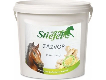 321 d4b21b65 ingwer cz