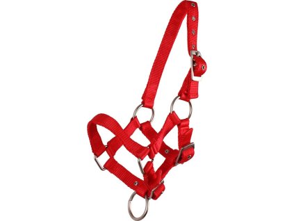 Ohlávka hříběcí Q-essentials, red