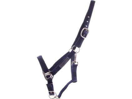 Ohlávka Lined QHP, blue (Velikost PONY)