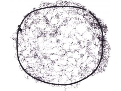 a79e0686f9d11abd44c85ab33eebf21e