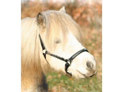 Ohlávka STAR Diamond Waldhausen, černá (Velikost MINI SHETTY)