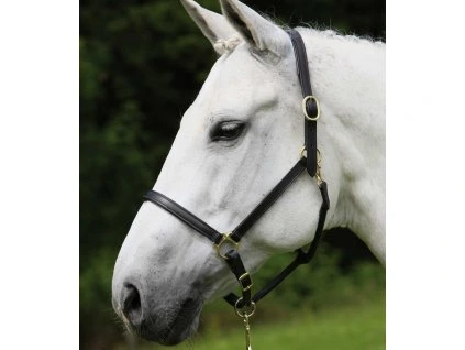 Kožená ohlávka STAR, černá (Velikost PONY)