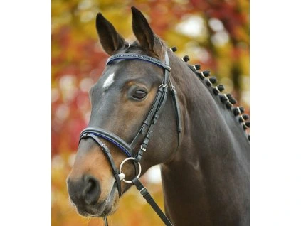 Uzdečka Star Diamond Waldhausen, blue (Velikost MINI SHETTY)