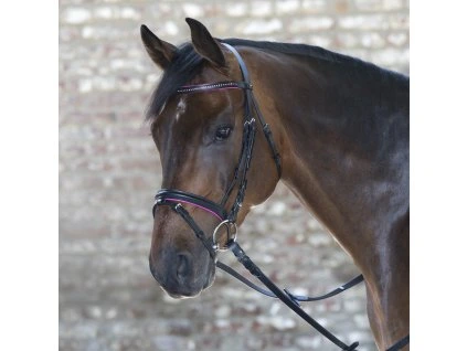 Uzdečka Star Diamond Waldhausen, fuchsia (Velikost MINI SHETTY)