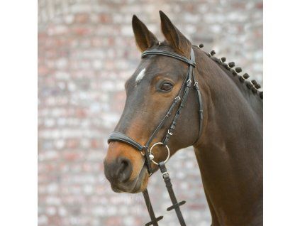 Uzdečka Hannover Star Waldhausen, černá (Velikost PONY)