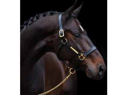 Ohlávka kožená Amigo, černá (Velikost EXTRA FULL)