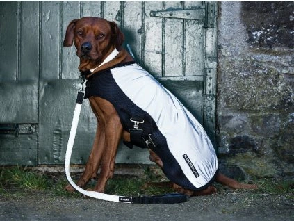 Vodítko pro psy Rambo, black/reflective (Velikost L)