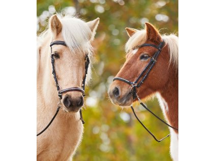 Uzdečka Island Laugar Waldhausen, black/ruby red