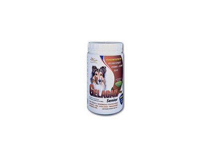 74355 thumbnail 280210 gelacan senior500