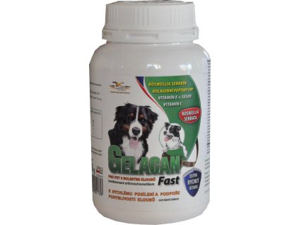 Gelacan Fast pro psy, 150 g