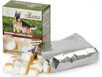 75366 vyrn 461web cesnek maxi