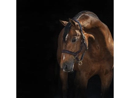 Ohlávka kožená Rambo Micklem, hnědá (Velikost EXTRA FULL)