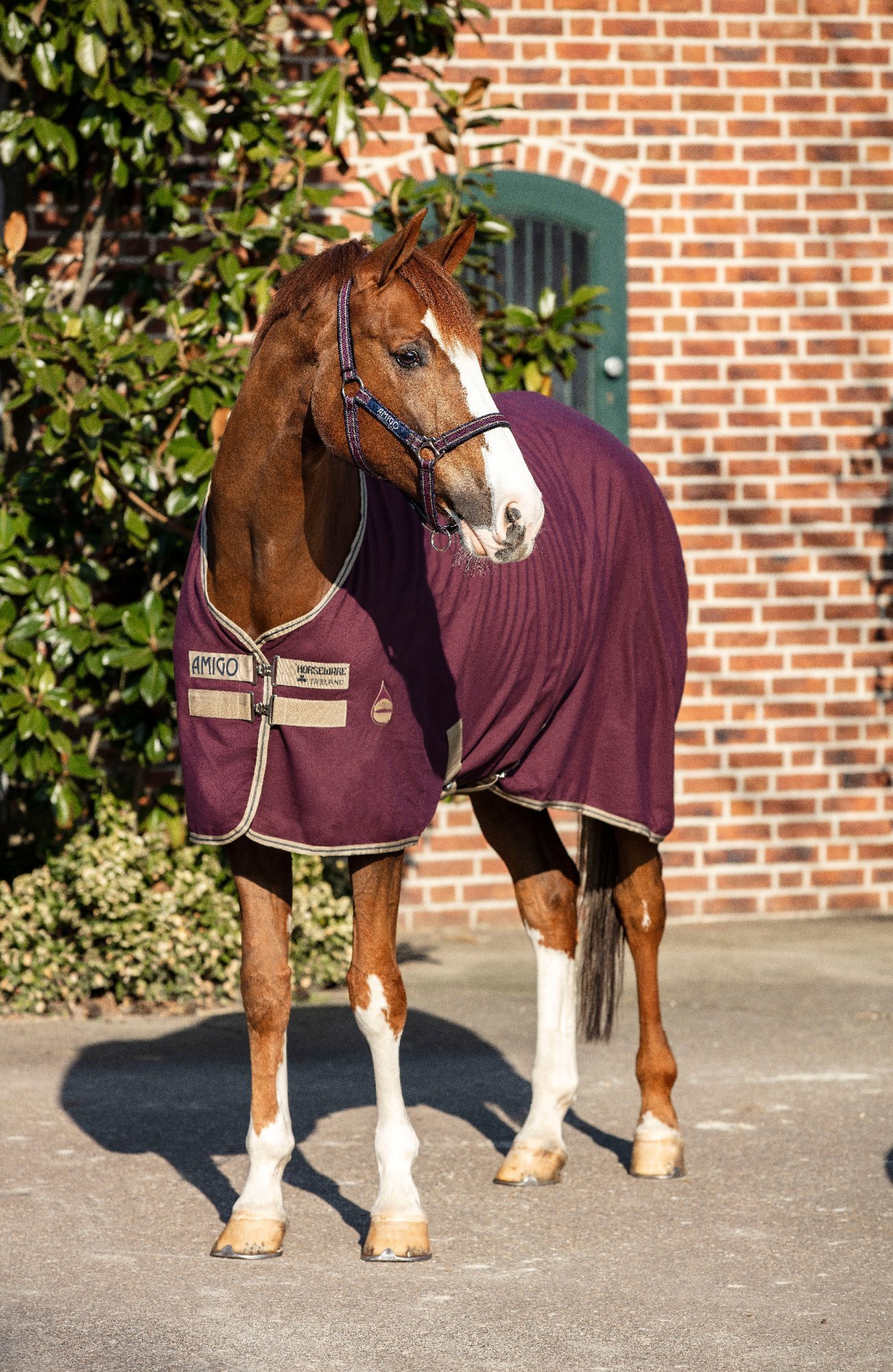 AMIGO Deka stájová X Sur Poly Amigo, 0 g, fig/navy/tan Délka zad: 130 cm