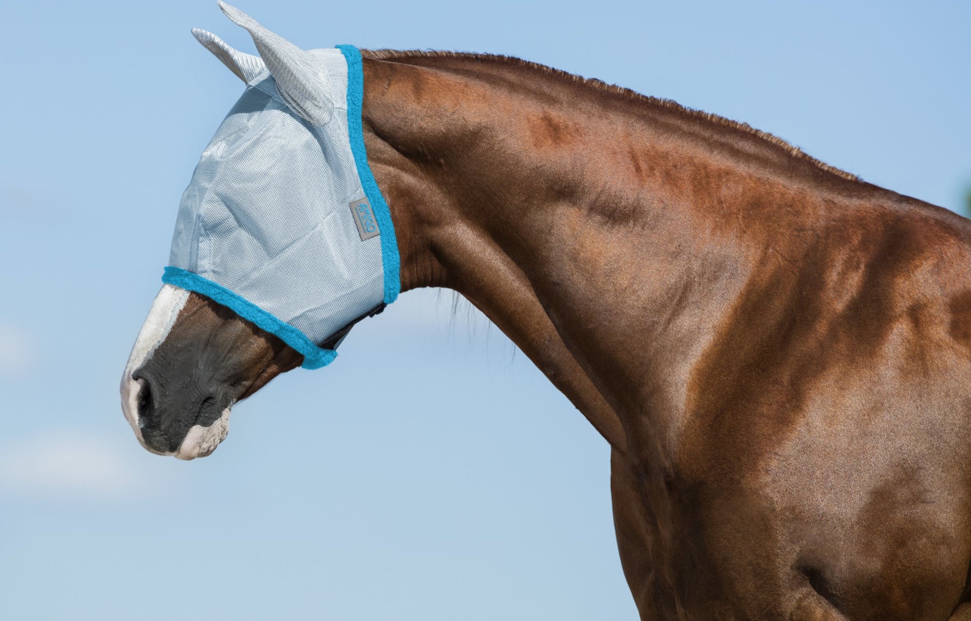 AMIGO Maska proti hmyzu Amigo, s ochranou uší, baby blue/electric blue Velikost: SHETTY