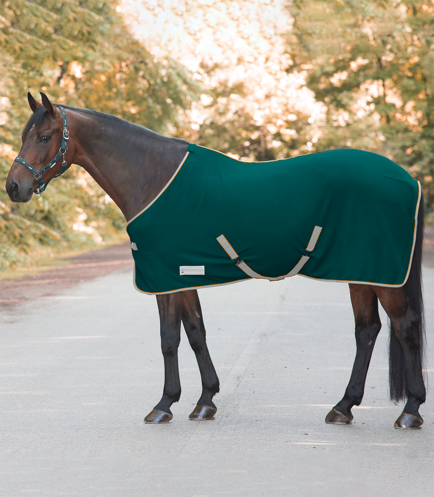 WALDHAUSEN Deka odpocovací Economic Waldhausen, fir green Délka zad: 145 cm