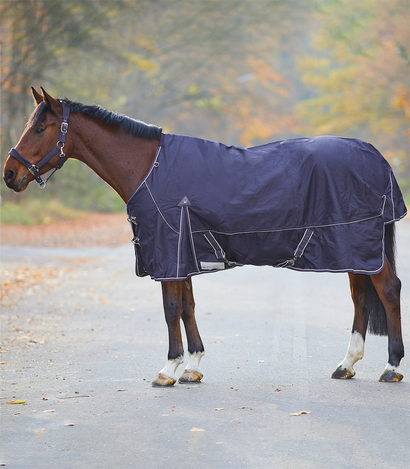 WALDHAUSEN Deka nepromokavá Comfort Waldhausen, 0 g, night blue Délka zad: 125 cm