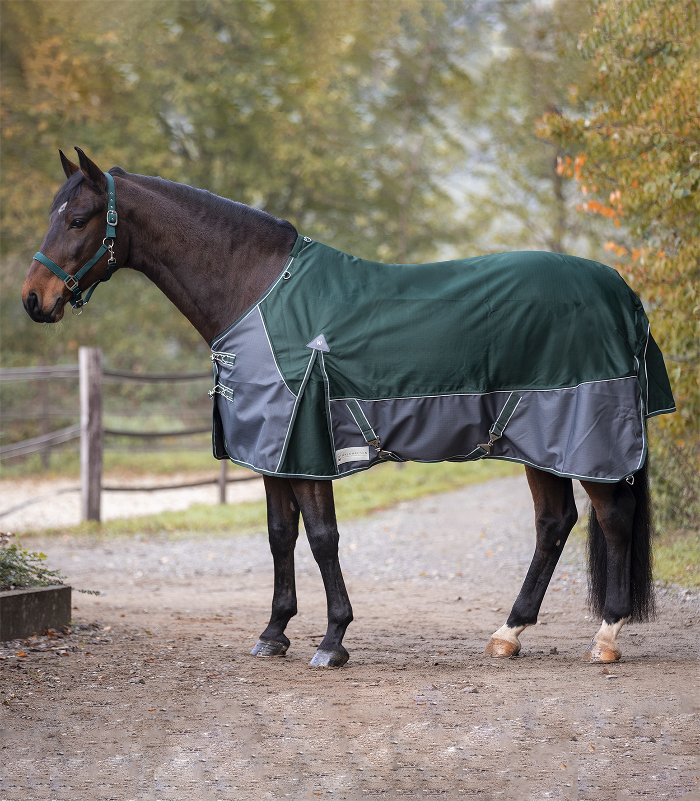 WALDHAUSEN Deka výběhová Comfort Waldhausen, 300 g, fir green/asphalt Délka zad: 135 cm