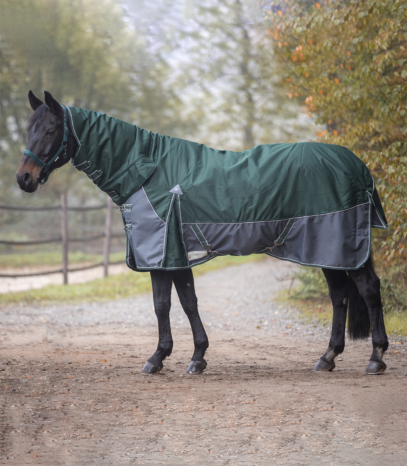 WALDHAUSEN Deka výběhová Comfort Waldhausen, s krkem, 200 g, fir green Délka zad: 125 cm