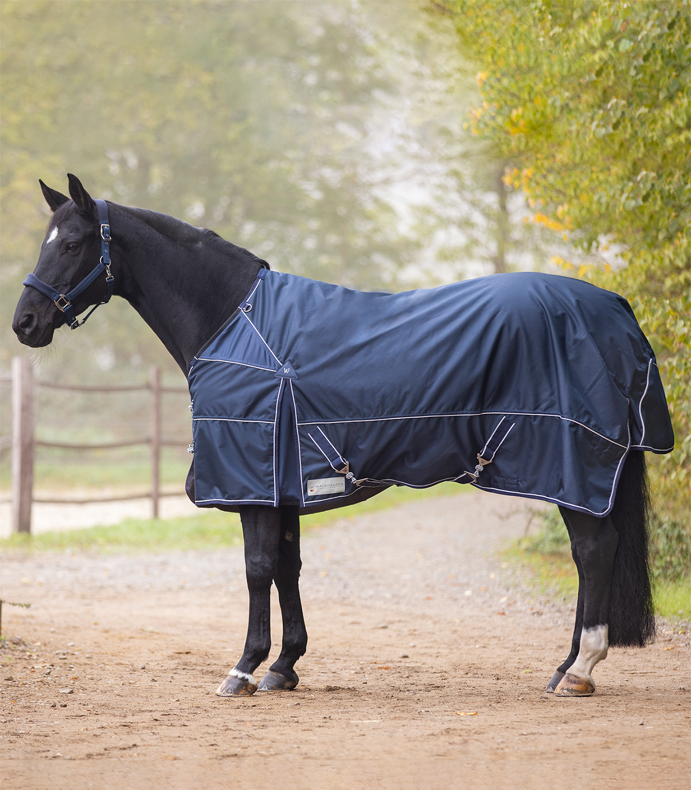 WALDHAUSEN Deka výběhová Premium Waldhausen, 200 g, night blue Délka zad: 125 cm